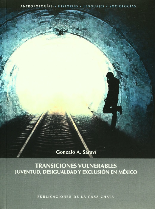 Transiciones vulnerables. Juventud, desigualdad y exclusion en Mexico  (Spanish Edition): Gonzalo Saravi Garcia: 9786074860351: Amazon.com: Books