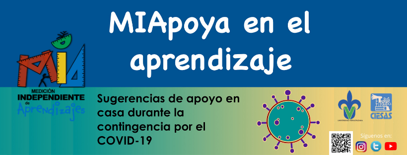 De la capacitación presencial al e-training en contexto de pandemia: Caso del Programa Especial de CIESAS-UV “Medición Independiente de Aprendizajes – MIA”