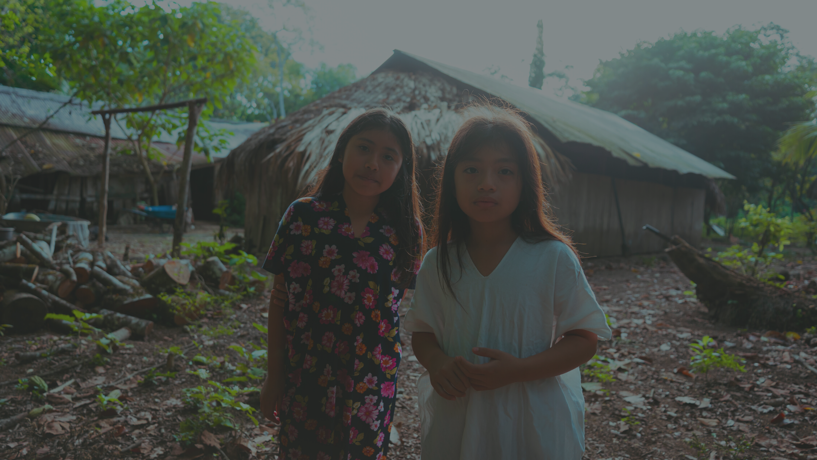 La salud de los pueblos indígenas en tiempos de Covid-19: Antropoceno, antropodemia y estrategias para el sostenimiento de la vida