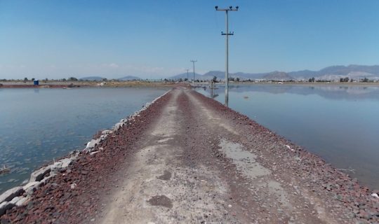 Un puente sobre un cuerpo de agua Descripción generada automáticamente