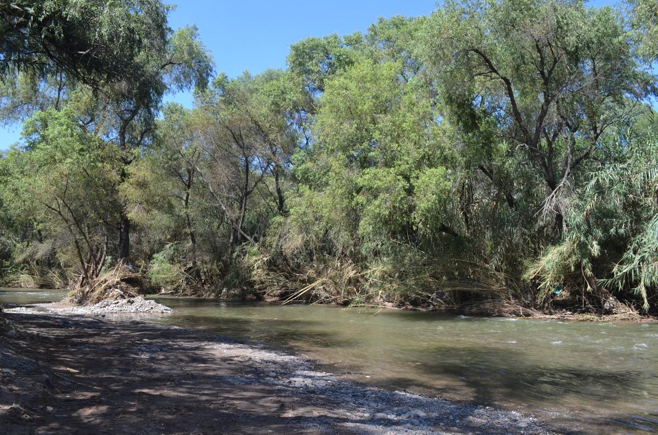 La Mixteca Alta: entre cambios del paisaje y transformaciones ecológicas