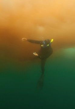 <strong>Mareas rojas, dinoflagelados y toxinas marinas: importancia ecológica, social y económica</strong>