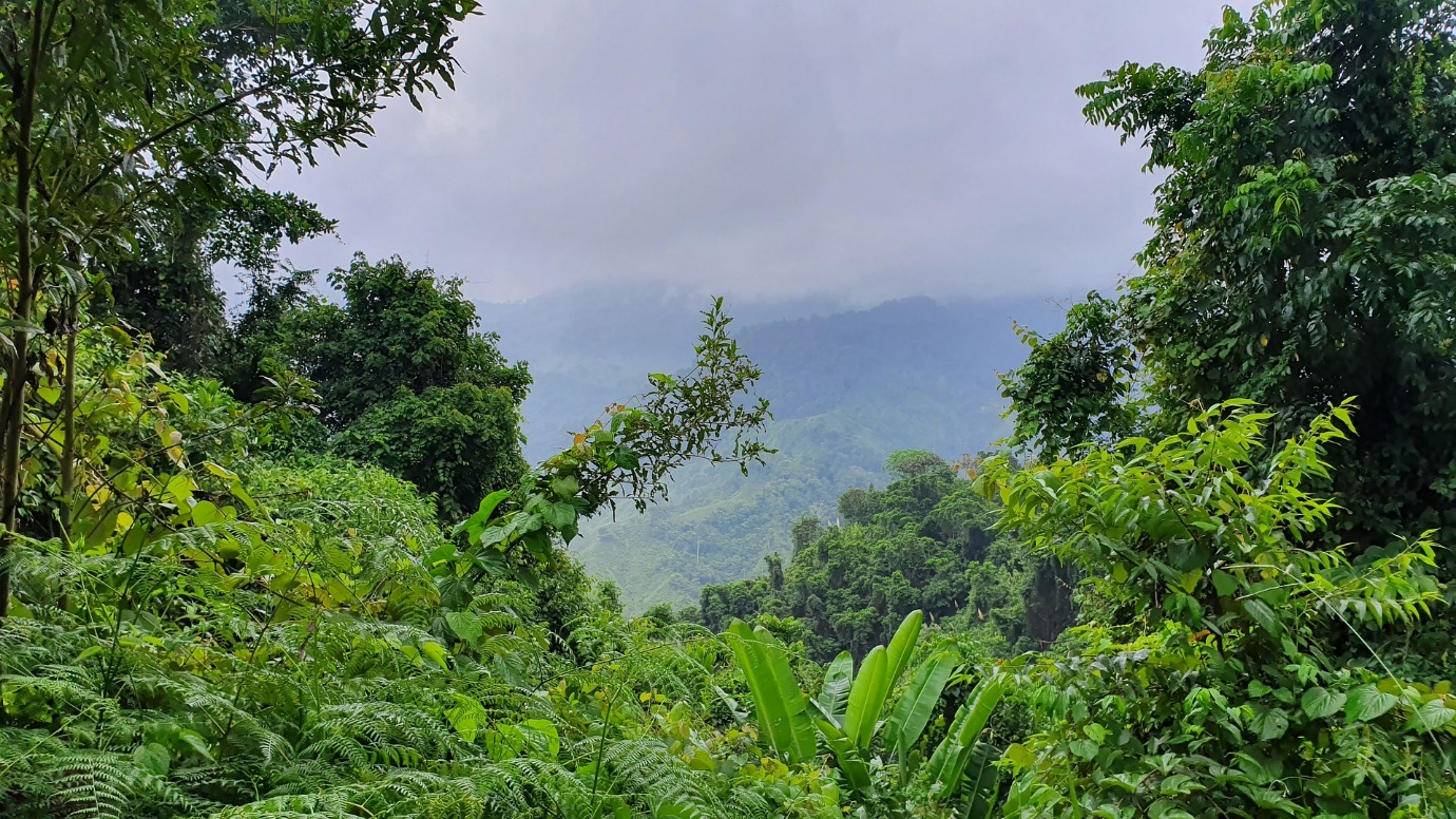 <strong>Efectos del glifosato en el territorio del pueblo Nasa del Putumayo, Colombia. Un análisis etnográfico</strong>