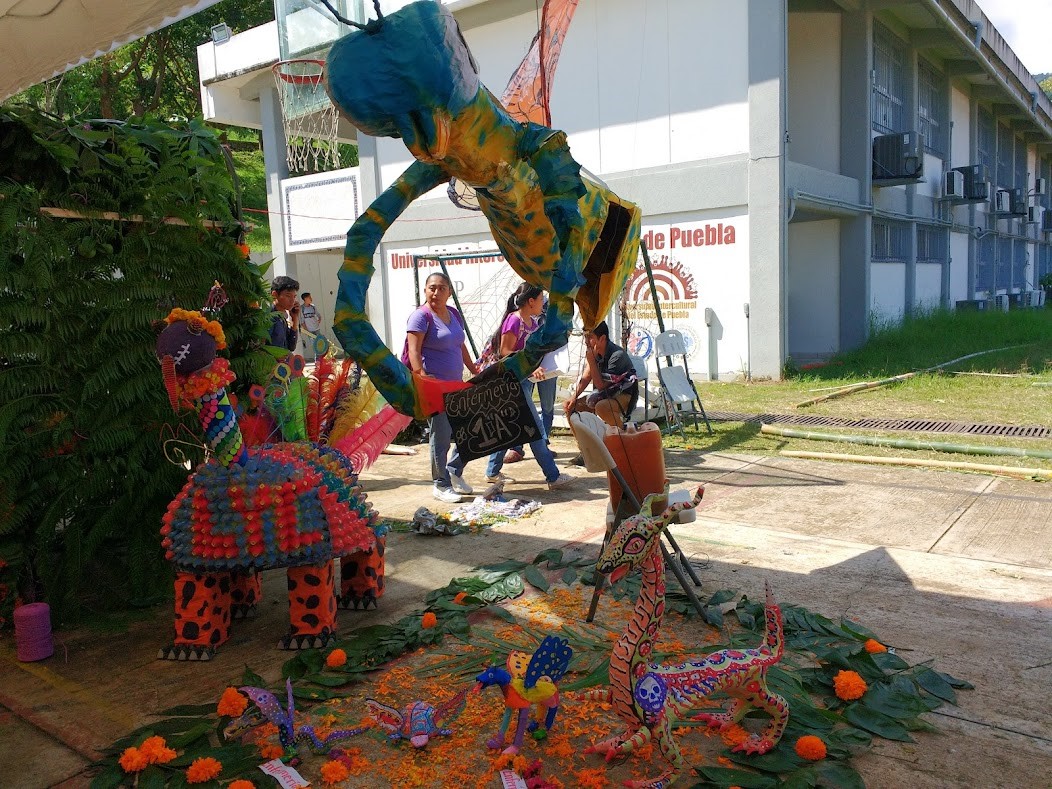 <strong>Vinculación comunitaria entre la comunidady los estudiantes de la Universidad Interculturaldel Estado de Puebla</strong>