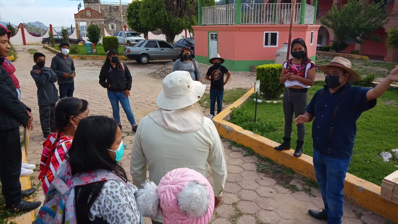 Patrones morfológicos del tu’un savi de Santo Tomás Ocotepec, Tlaxiaco, Oaxaca.<em>Ta iin iyo ji sa’a tu’un savi ñuu yute suji, ja yitu ndinu, ji tatuni ñuu nduva.</em>