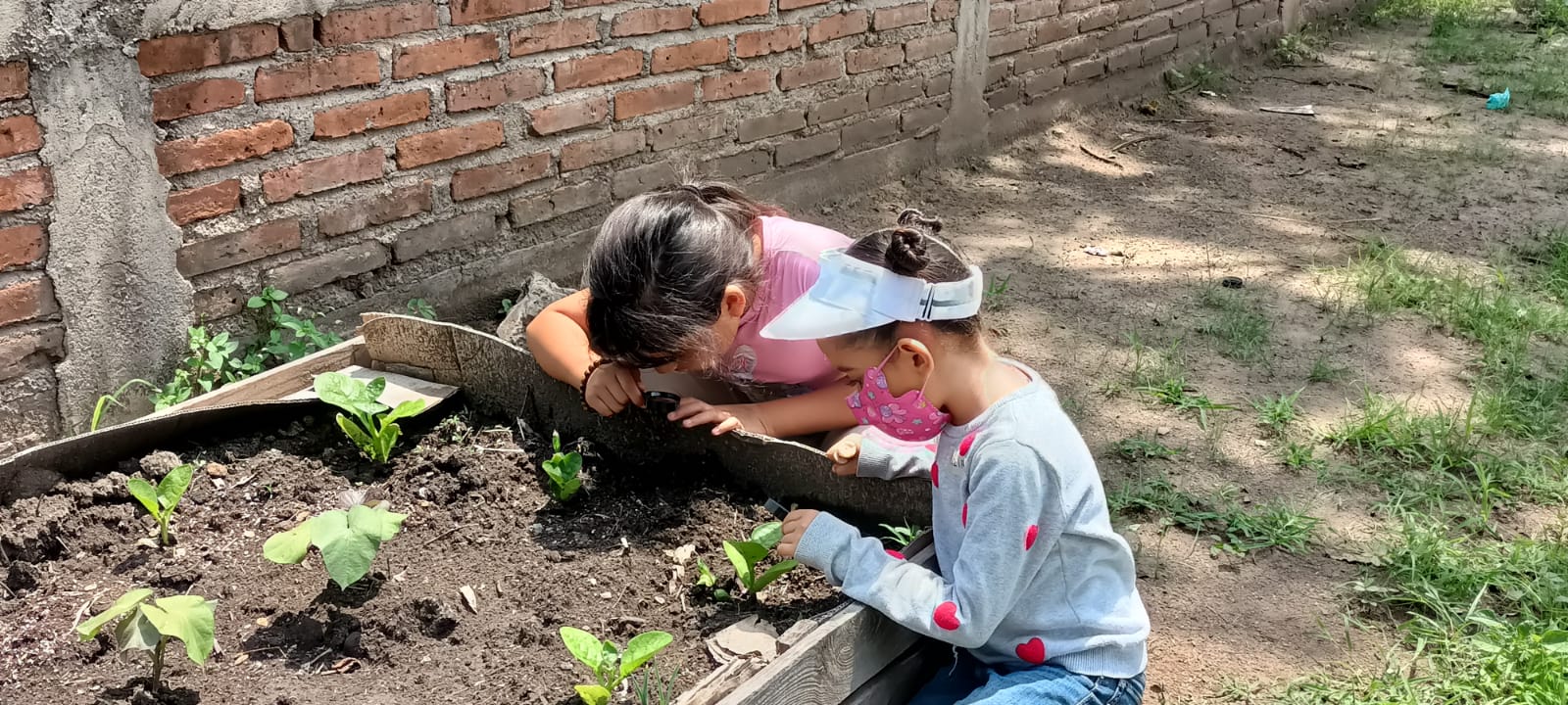 <strong>La Reconfiguración Agroecológica, Alimentariay de Salud (RAAS)</strong>