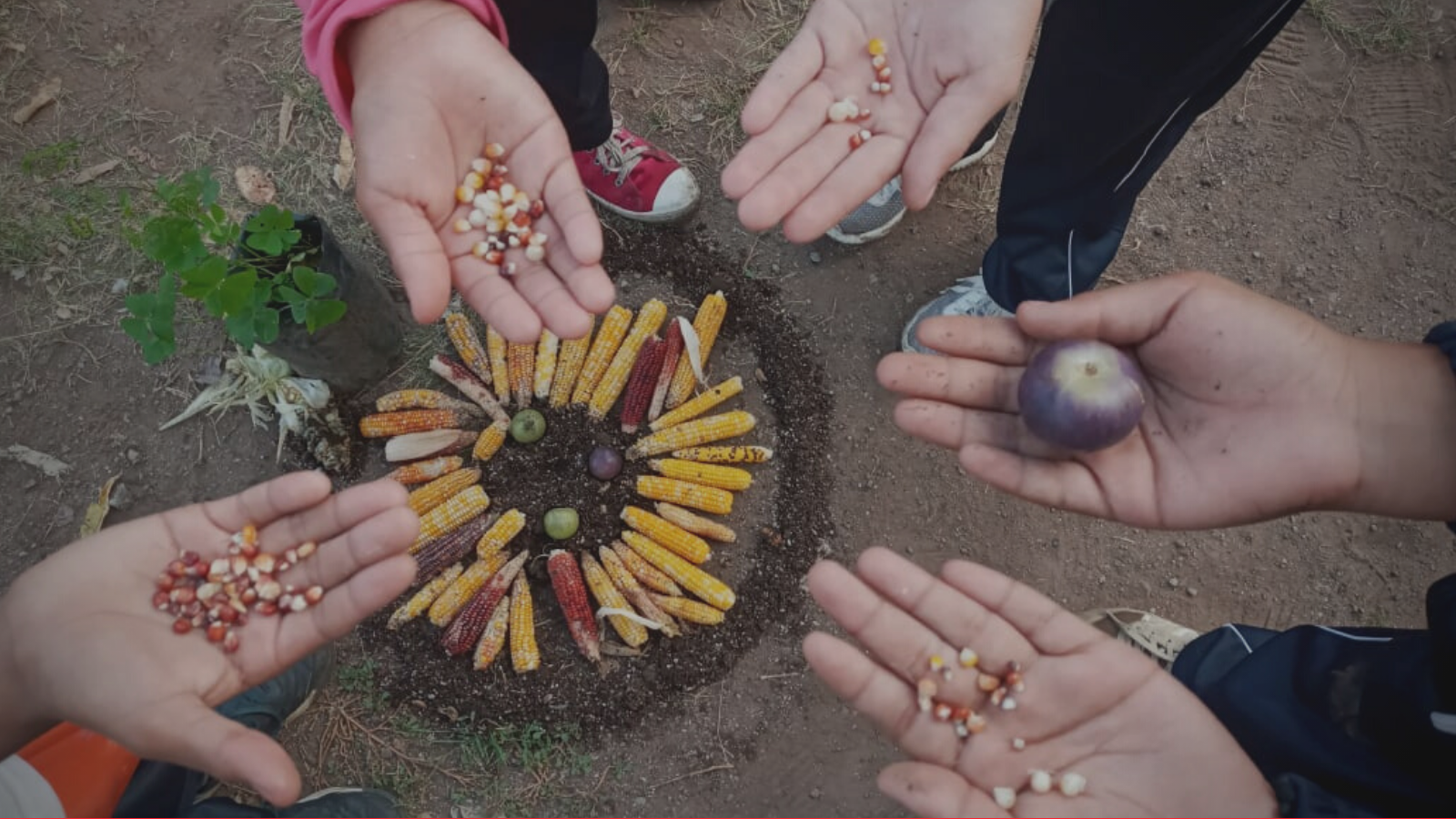 <strong>Con los pies en la tierra: sanando en contactocon la naturaleza</strong>