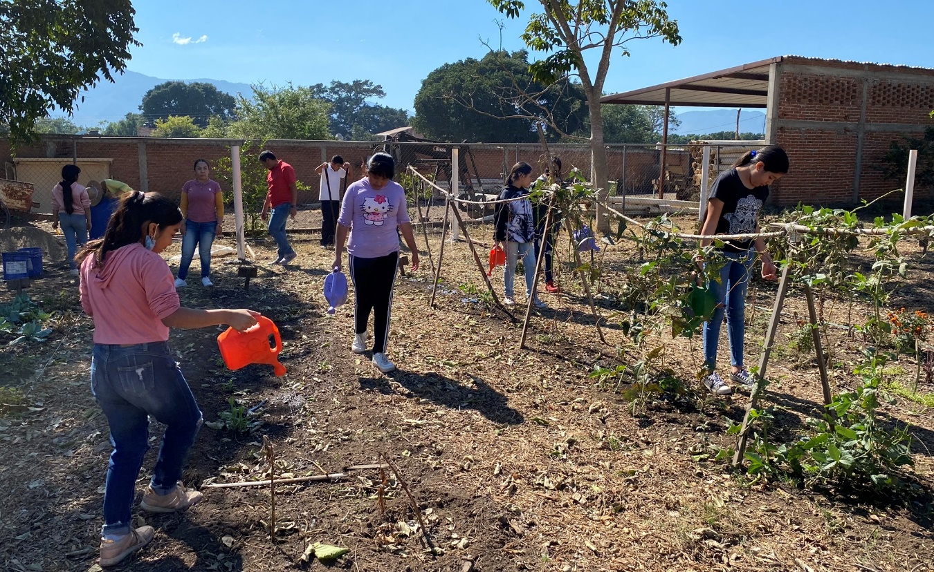 El huerto como una herramienta pedagógica para fortalecer la soberanía alimentaria y revertir la exposición a agroquímicos  en <em>El Mentidero</em>, Jalisco