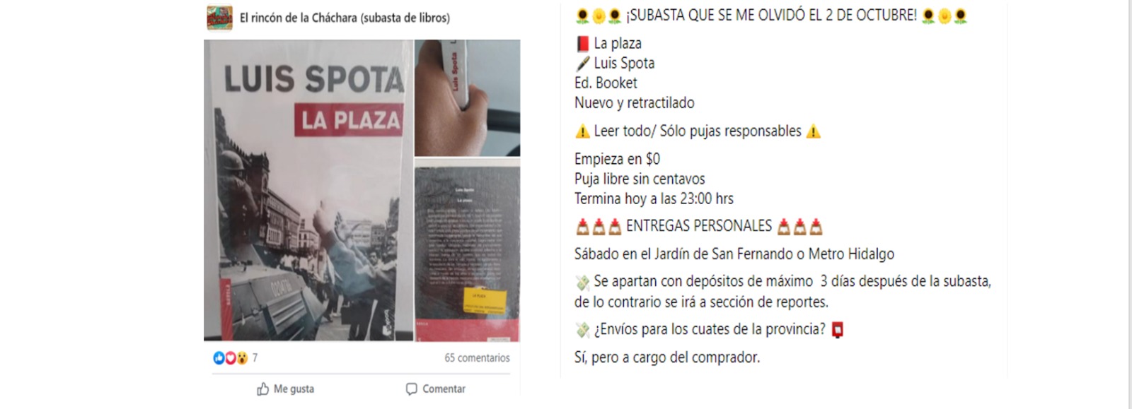 El arte verbal de las subastas: libros usados, internet y ciudad
