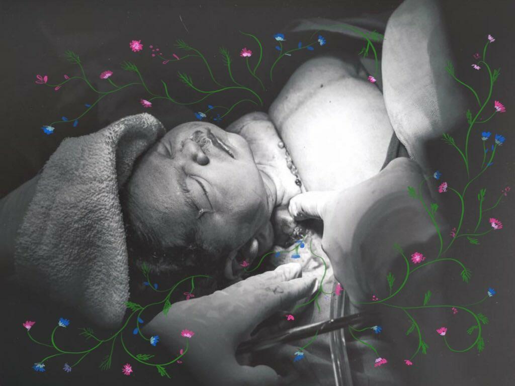 Imagen que contiene interior, tabla, verde, diferente

El contenido generado por IA puede ser incorrecto.