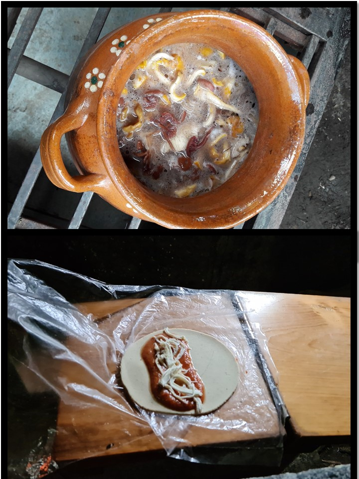 C:\Users\Eribel\Documents\Artículo de divulgación 2026\Frijoles y quesadilla.jpg