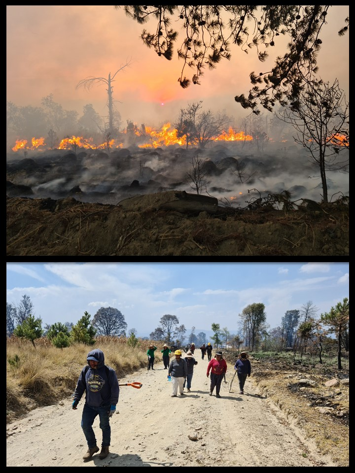 C:\Users\Eribel\Documents\Artículo de divulgación 2026\Incendio y brigada.jpg